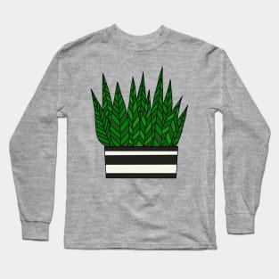 Cute Cactus Design #31: Zebra Succulent Long Sleeve T-Shirt